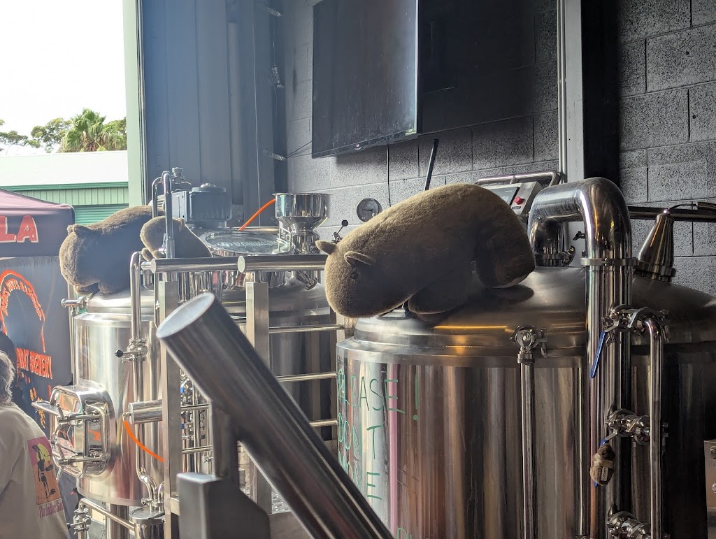 Wombat Brewery | Unit 6/1/3 Coller Rd, Ulladulla NSW 2539, Australia | Phone: 0429 814 328
