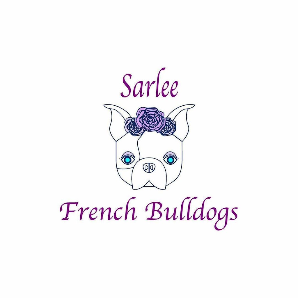 Sarlee French Bulldogs |  | Remembrance Driveway, Bargo NSW 2574, Australia | 0430167740 OR +61 430 167 740