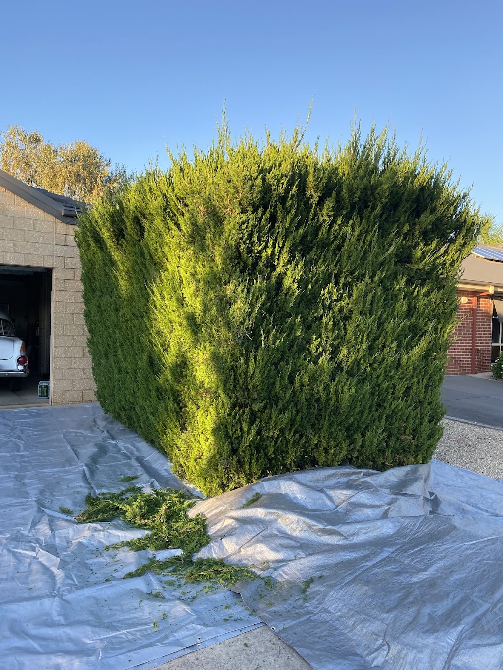 Precision Gardens | 10 Currawong Dr, Wangaratta VIC 3677, Australia | Phone: 0413 283 349