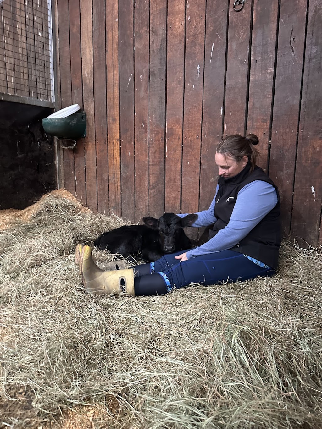 Karinya Farm - Regulate & Connect | 65 Five Mile Rd, Pakenham South VIC 3810, Australia | Phone: 0478 675 943