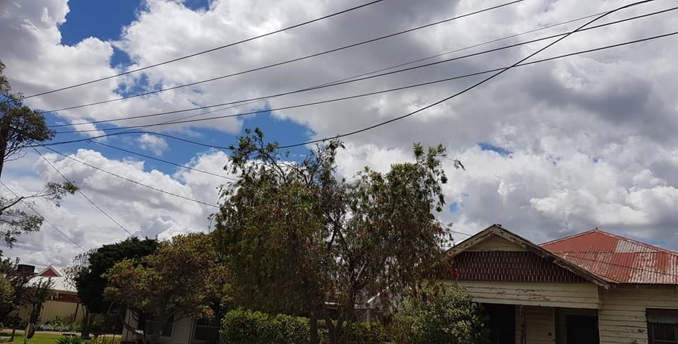 Active Tree Services Pty Ltd | 7/53 Jersey Rd, Bayswater VIC 3153, Australia | Phone: (03) 8873 3100
