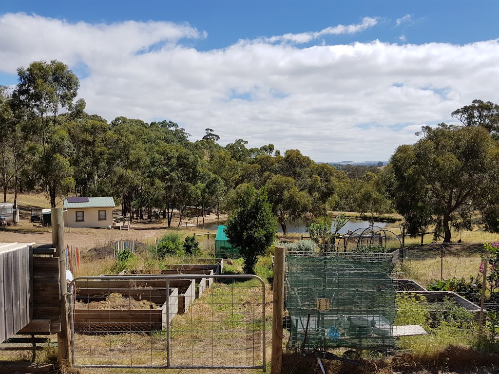 Blue Tongue Berries | 445 Northwood Rd, Seymour VIC 3660, Australia | Phone: 0403 831 520