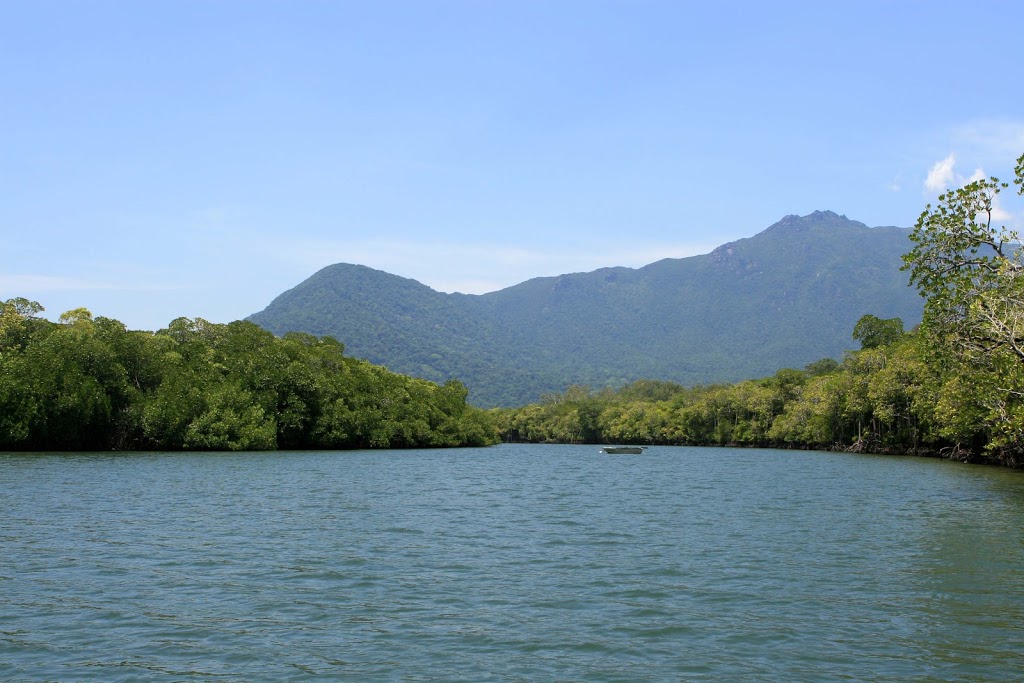 Cooper Creek Wilderness Daintree Rainforest | 2333 Cape Tribulation Rd, Cape Tribulation QLD 4873, Australia | Phone: (07) 4098 9126