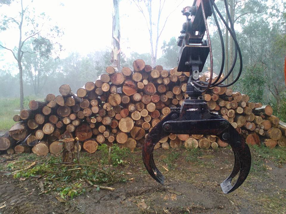 OLeary Tree Contracting | Honeyeater Dr, Greenbank QLD 4124, Australia | Phone: 0450 255 963