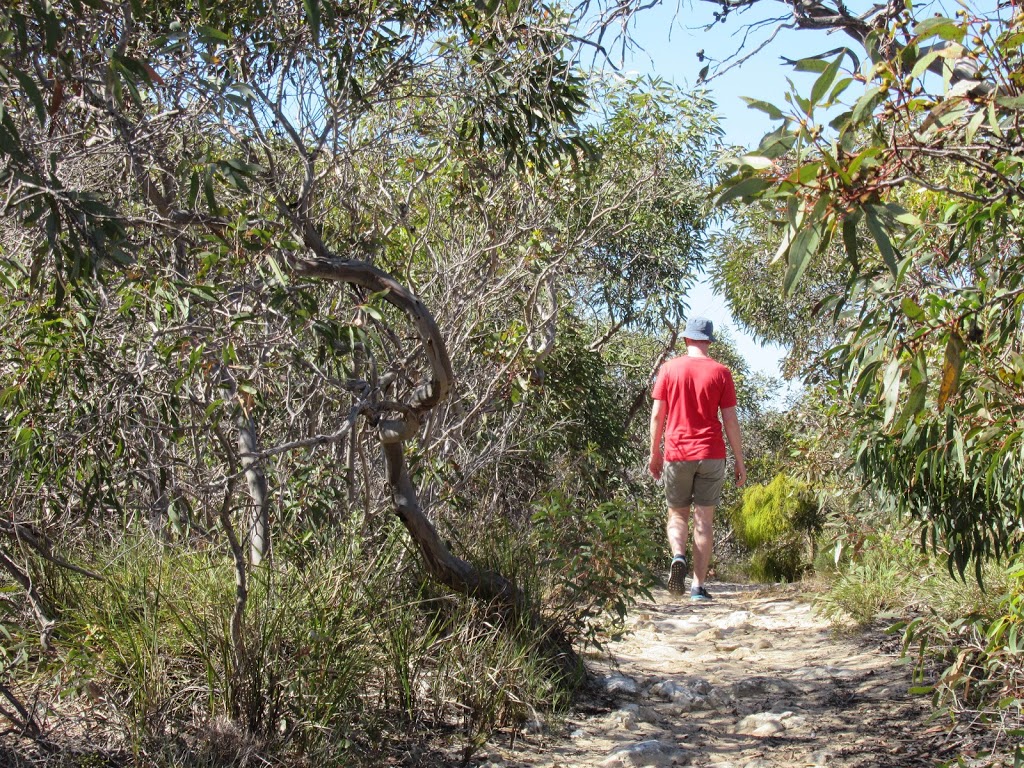 Bonney Reserve Nature Trail | park | Seven Mile Rd, Meningie SA 5264, Australia