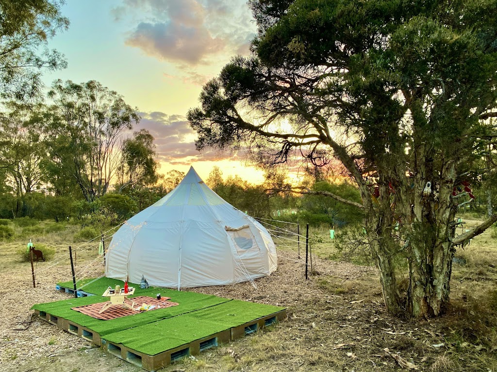 Coolmunda Olives Getaway in The Grove | 6 Mosquito Creek Rd, Coolmunda QLD 4387, Australia | Phone: 0418 747 715