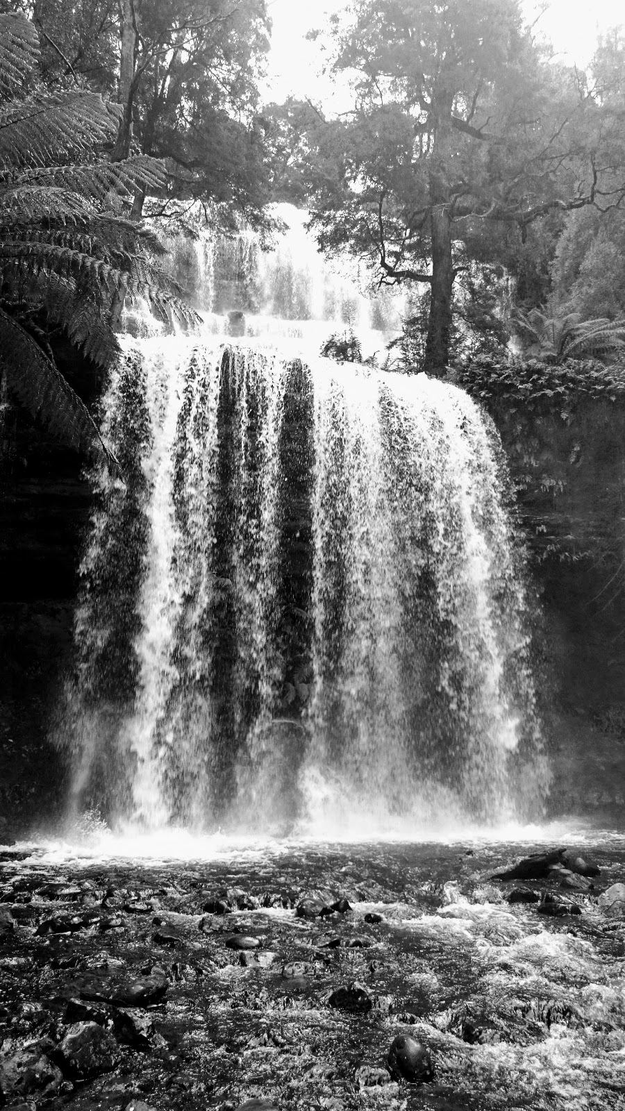 Russell Falls | tourist attraction | National Park TAS 7140, Australia | 0362881149 OR +61 3 6288 1149