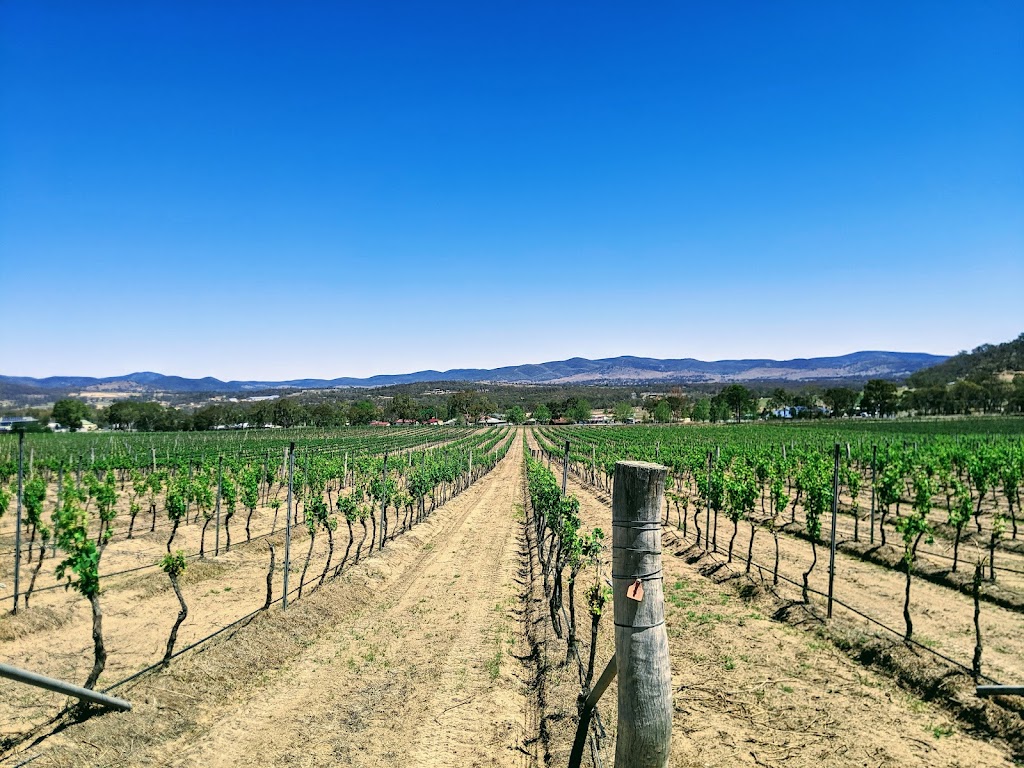 St Judes Estate | 64 St Judes Ln, Ballandean QLD 4382, Australia | Phone: 0422 057 333 St Judes Estate | 64 St Judes Ln, Ballandean QLD 4382, Australia | Phone: 0422 057 333