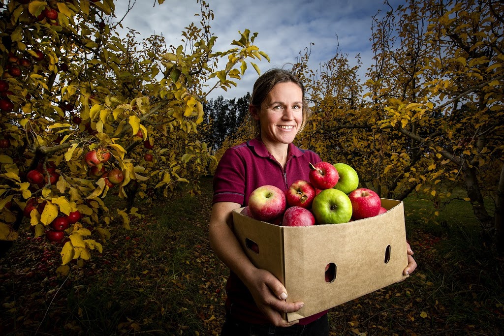 Picnic Point Farm | store | 172 Drevermann St, Bairnsdale VIC 3875, Australia | 0351526206 OR +61 3 5152 6206