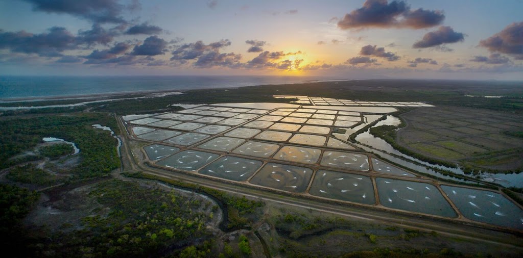 Pacific Reef Fisheries PTY Ltd. | 1 Trent Rd, Ayr QLD 4807, Australia | Phone: (07) 4783 6068