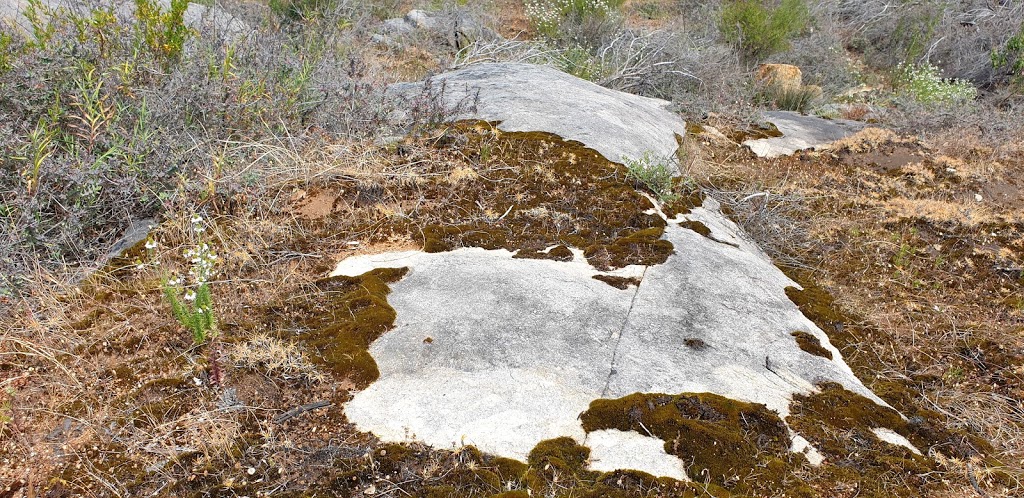 Nyaania Creek Reserve | Darlington WA 6070, Australia