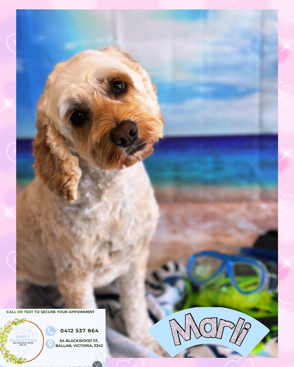 Simply Pawfection Dog Grooming Salon - Ballan | 5A Blackwood St, Ballan VIC 3342, Australia | Phone: 0412 537 864