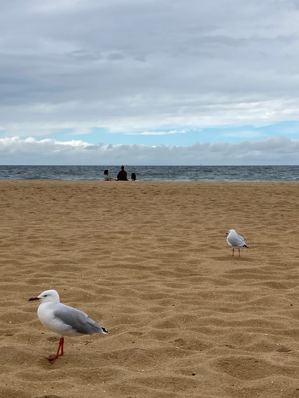 Fifi’s By The Beach | 81 Esplanade, Williamstown VIC 3016, Australia | Phone: 0404 157 571