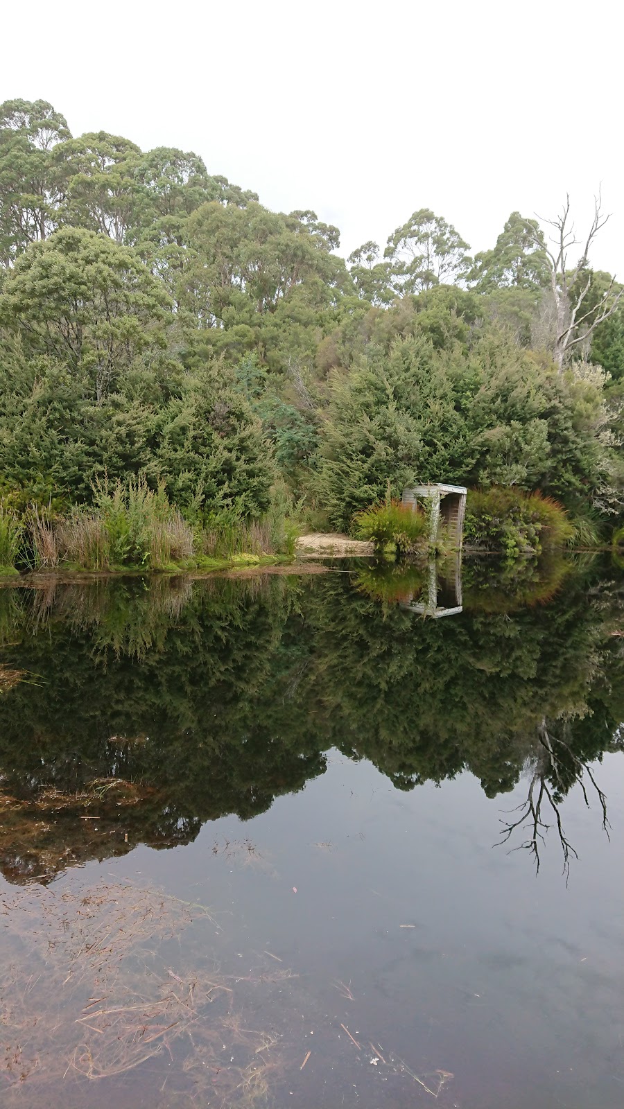Upper Natone Forest Reserve | park | LOT 1 Blythe Rd, Upper Natone TAS 7321, Australia