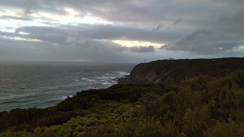 Seal Point | Otway Lighthouse Rd, Cape Otway VIC 3233, Australia | Phone: 13 19 63