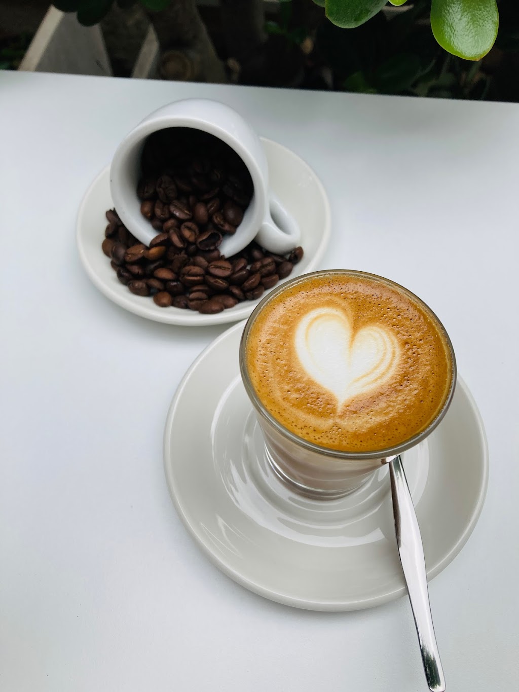 Tram Espresso | cafe | 166 Sailors Bay Rd, Northbridge NSW 2063, Australia | 0299177267 OR +61 2 9917 7267