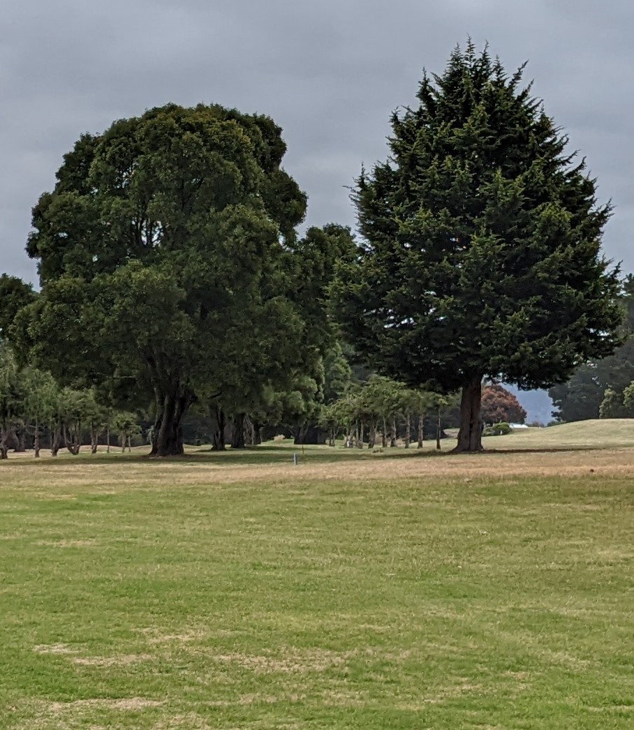 Seabrook Golf Club | 161 Old Bass Hwy, Wynyard TAS 7325, Australia | Phone: (03) 6442 2173