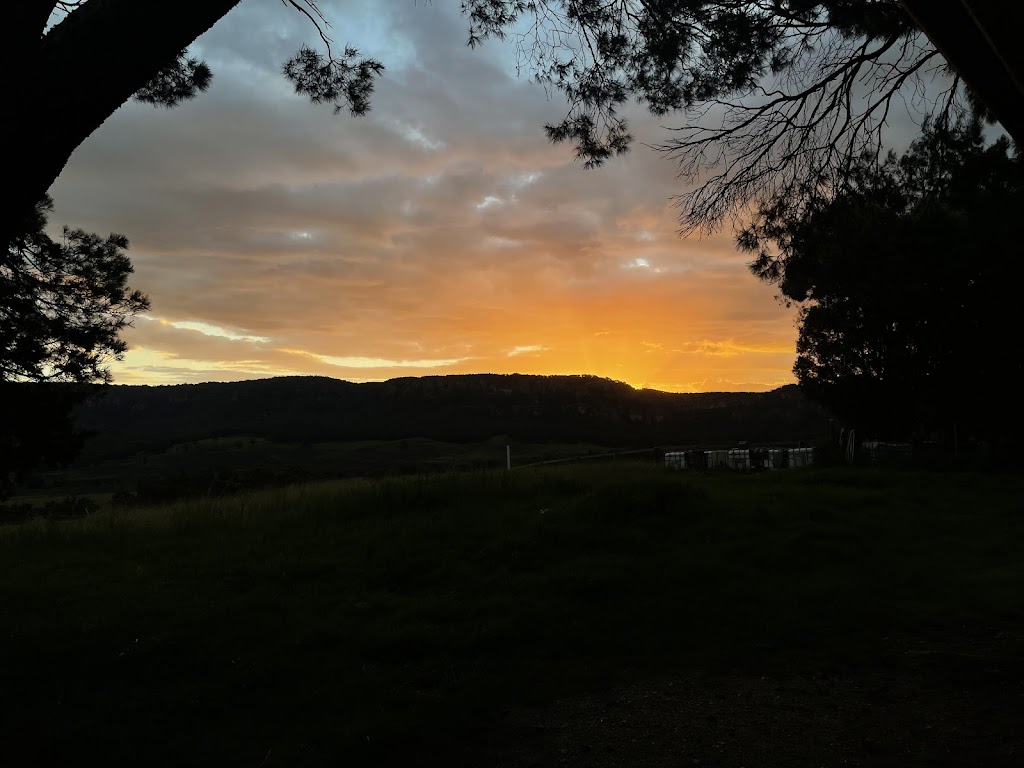 Ashbrooke Border Collies | Ashbrooke Rd, Wingen NSW 2337, Australia | Phone: 0493 531 190