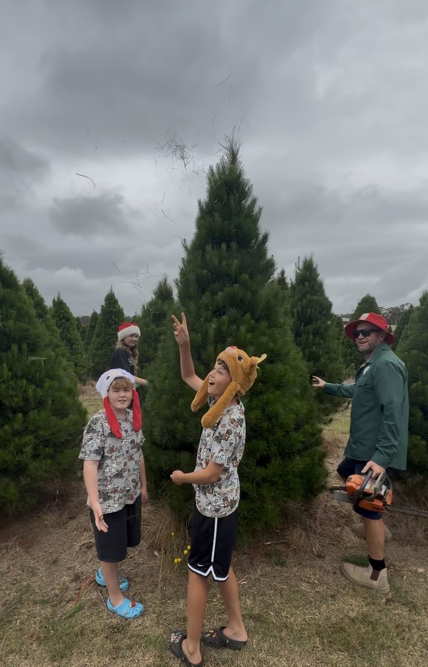 Wedderburn Christmas Trees | 64 Blackburn Rd, Wedderburn NSW 2560, Australia | Phone: 0402 086 032