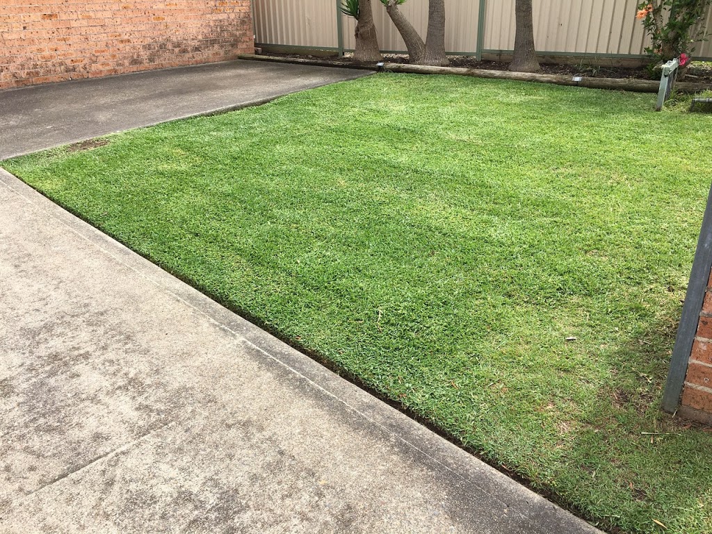 TC’s Mowing & Home Maintenance Service | general contractor | 54 Murray Rd, Wingham NSW 2429, Australia | 0429007665 OR +61 429 007 665