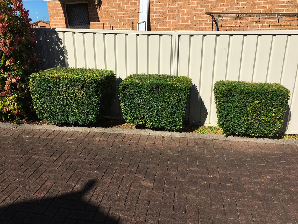 TC’s Mowing & Home Maintenance Service | 54 Murray Rd, Wingham NSW 2429, Australia | Phone: 0429 007 665