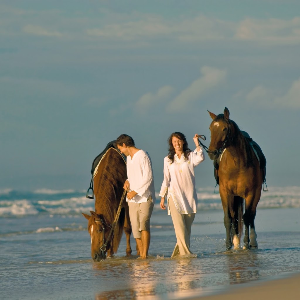 Tassiriki Ranch Beach Horse Riding & Holiday Cabins | 249 Moylans Ln, Empire Vale NSW 2478, Australia | Phone: (02) 6683 4602