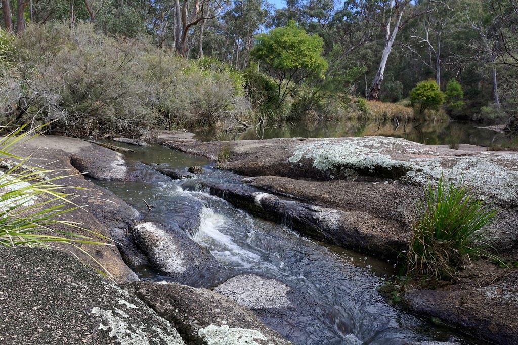 Warra National Park | park | Kookabookra NSW 2370, Australia