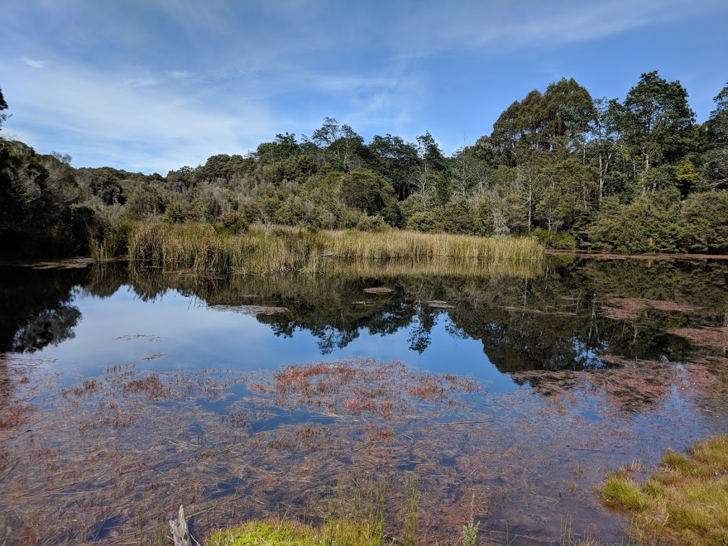 Upper Natone Forest Reserve | park | LOT 1 Blythe Rd, Upper Natone TAS 7321, Australia