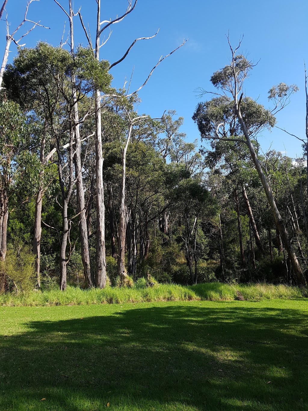 Upwey South Reserve | Morris Rd, Upwey VIC 3158, Australia | Phone: 1300 368 333