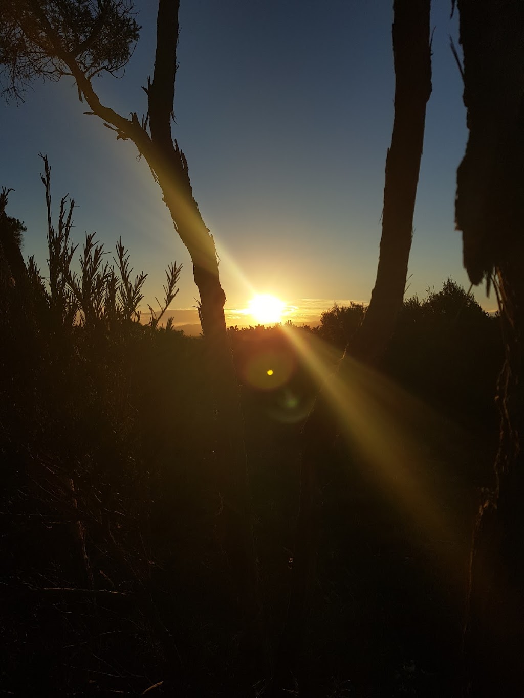 Kanamaluka Trail | park | George Town TAS 7253, Australia