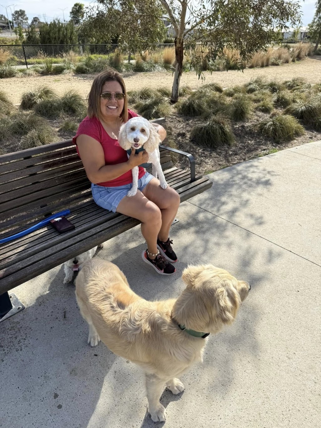 Woof N Run | 10 Ontario St, Clyde VIC 3978, Australia | Phone: 0438 318 626