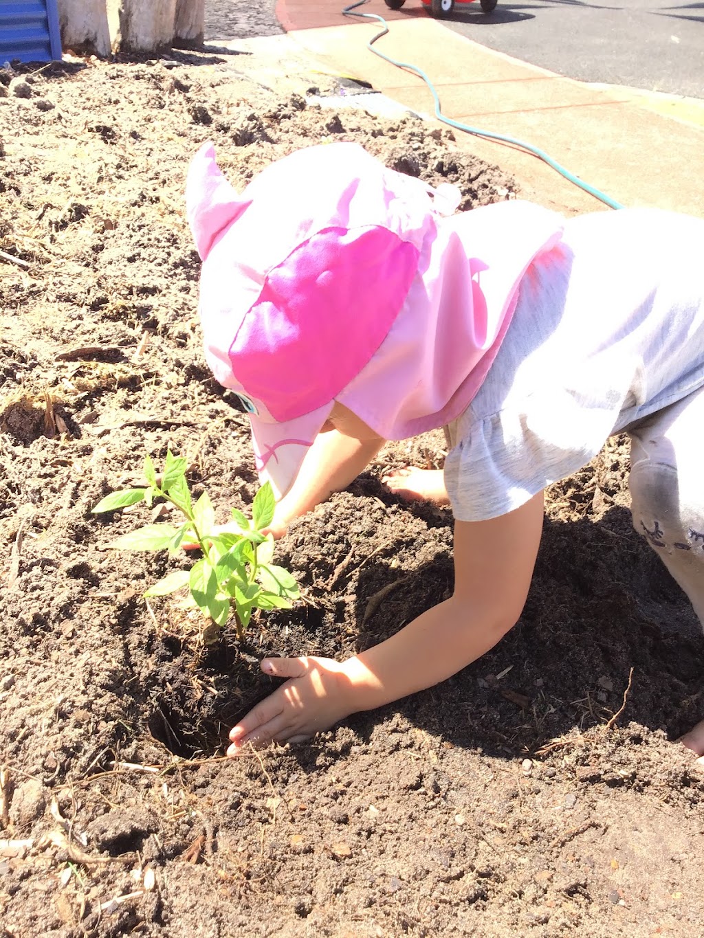 Pelicans Nest Early Learning Centre | 200 Pelican Waters Blvd, Pelican Waters QLD 4551, Australia | Phone: (07) 5437 5850