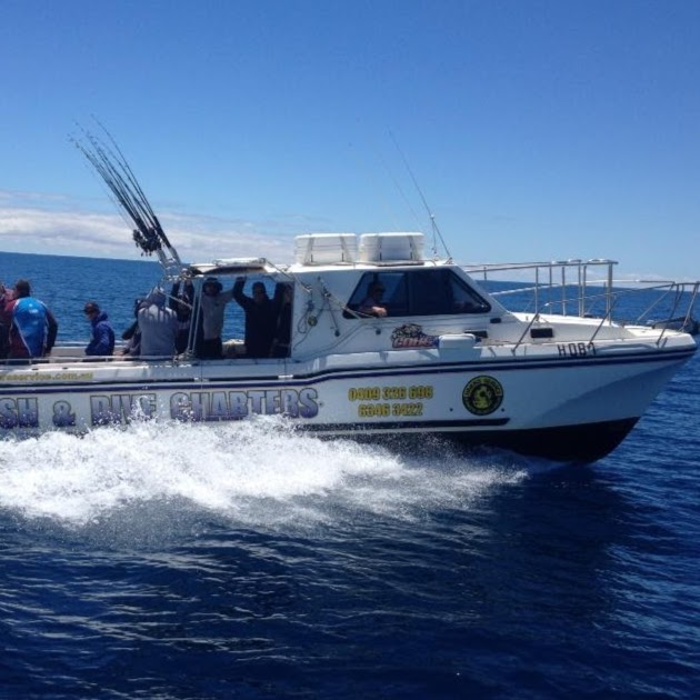 Glenelg Fishing Charters | 80 Grange Rd, Welland SA 5007, Australia | Phone: 0409 326 698