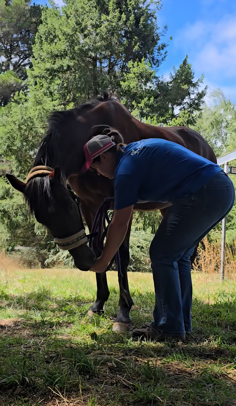 K.Olsen Equine Bodywork | 20 Dog Rocks Rd, Black Springs NSW 2787, Australia | Phone: 0438 510 413