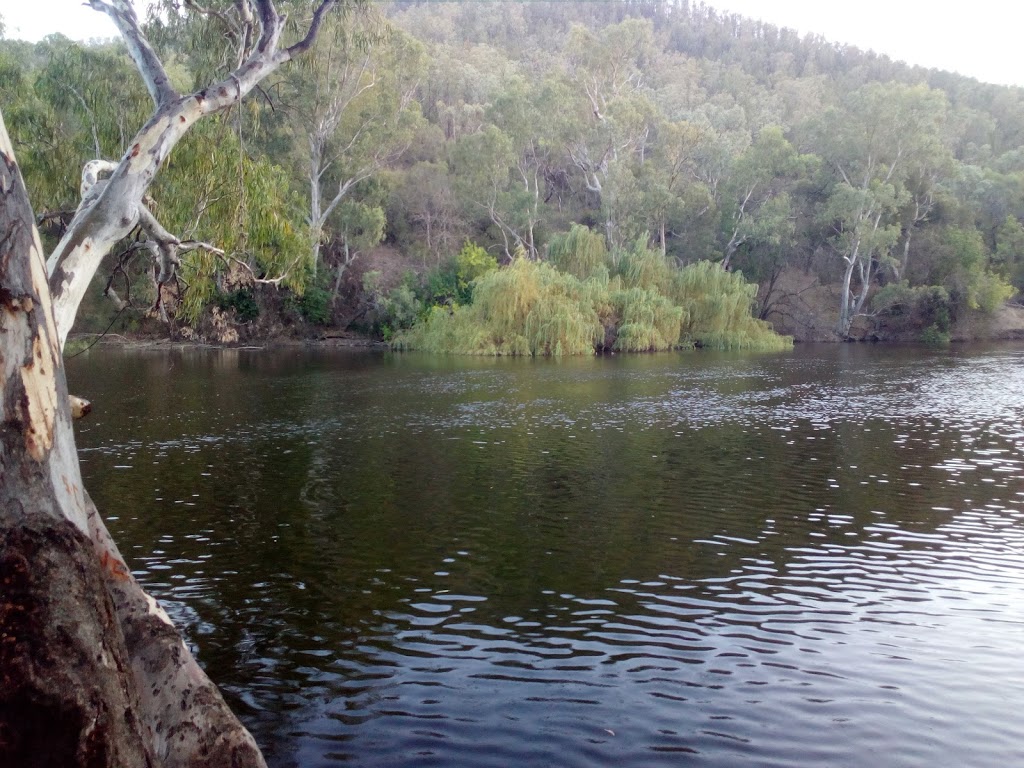 Gwydir Reiver Free Camping Area | Bingara NSW 2404, Australia