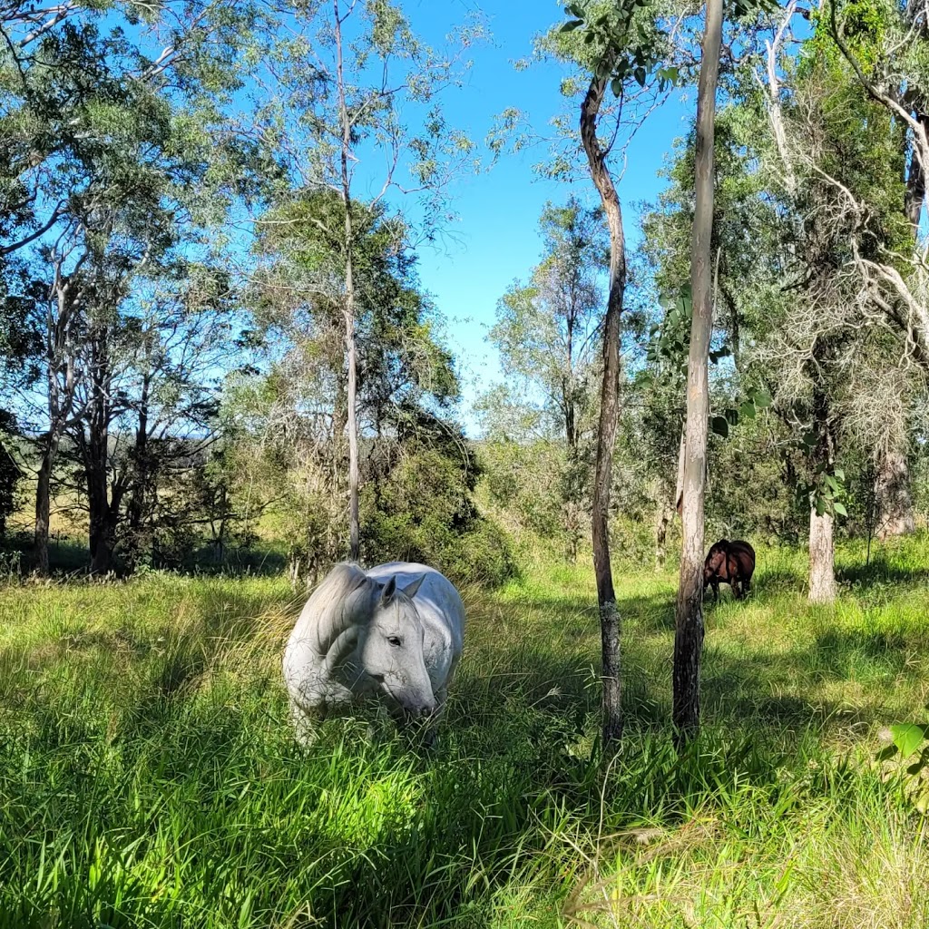 Okey Dokey Farm | Visit by appointment only. Please message to arrange, 144 Flood Reserve Rd, Ruthven NSW 2480, Australia | Phone: 0418 770 508