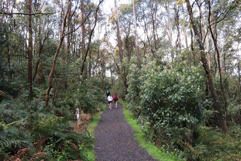 Camels Hump Car Park | park | 409 Cameron Dr, Mount Macedon VIC 3441, Australia