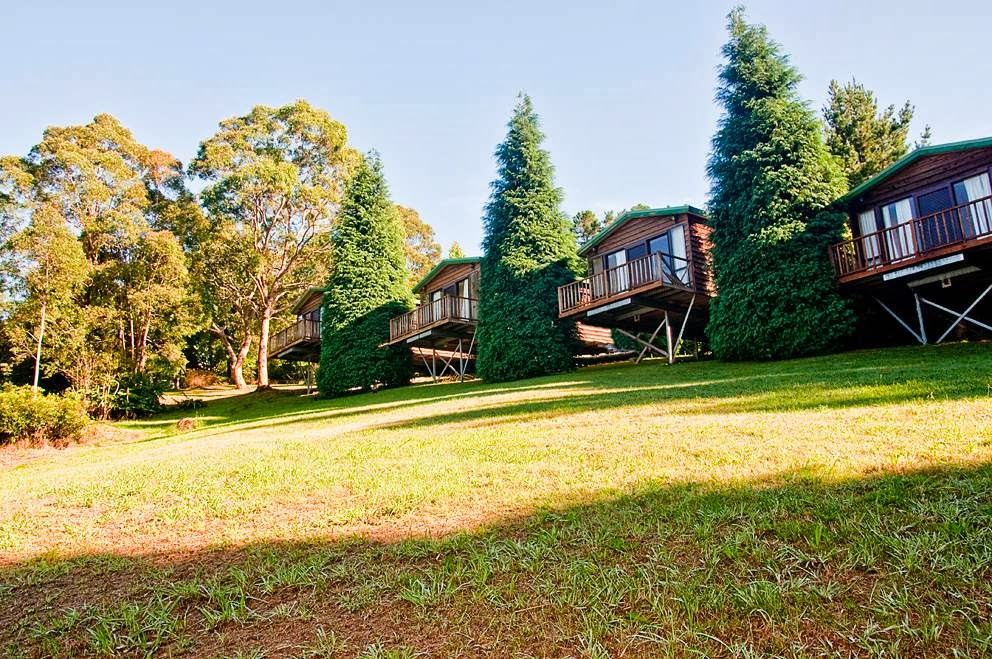 Bilpin Resort | lodging | 68 Powells Rd, Bilpin NSW 2758, Australia | 0245672117 OR +61 2 4567 2117