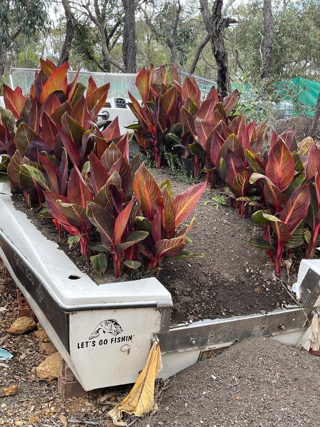 Kris Hobby Farm | 109 Junortoun Rd, Junortoun VIC 3551, Australia | Phone: 0468 462 192
