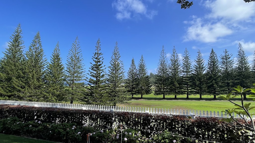 Independent Arboricultural Services - Gold Coast | Hope Island Rd, Hope Island QLD 4212, Australia | Phone: (07) 3399 5865