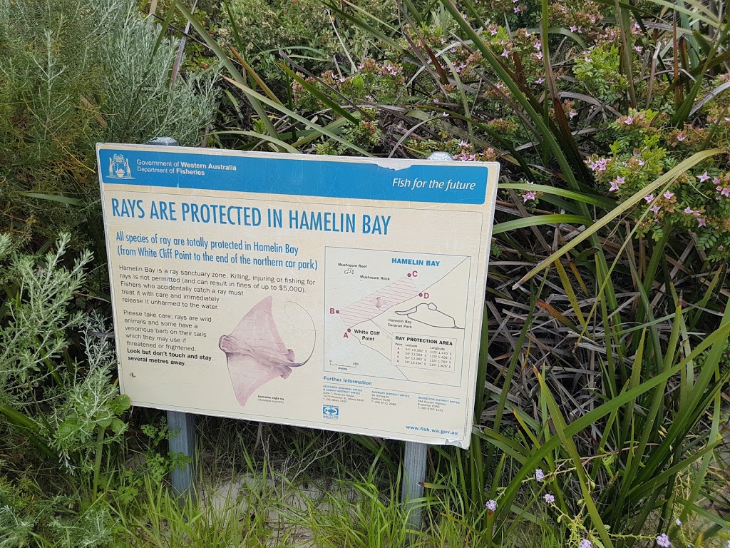 Car Park | parking | Hamelin Bay WA 6288, Australia