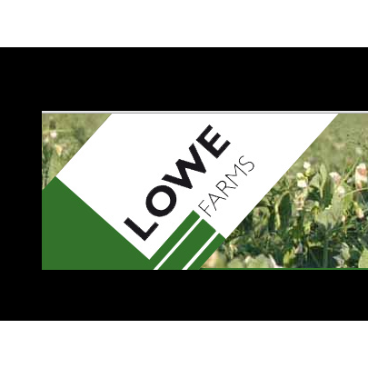 Lowe Farms |  | 1008 Roennfeldt Rd, Pinkerton Plains SA 5400, Australia | 0885254007 OR +61 8 8525 4007