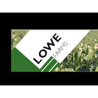 Lowe Farms | 1008 Roennfeldt Rd, Pinkerton Plains SA 5400, Australia | Phone: (08) 8525 4007