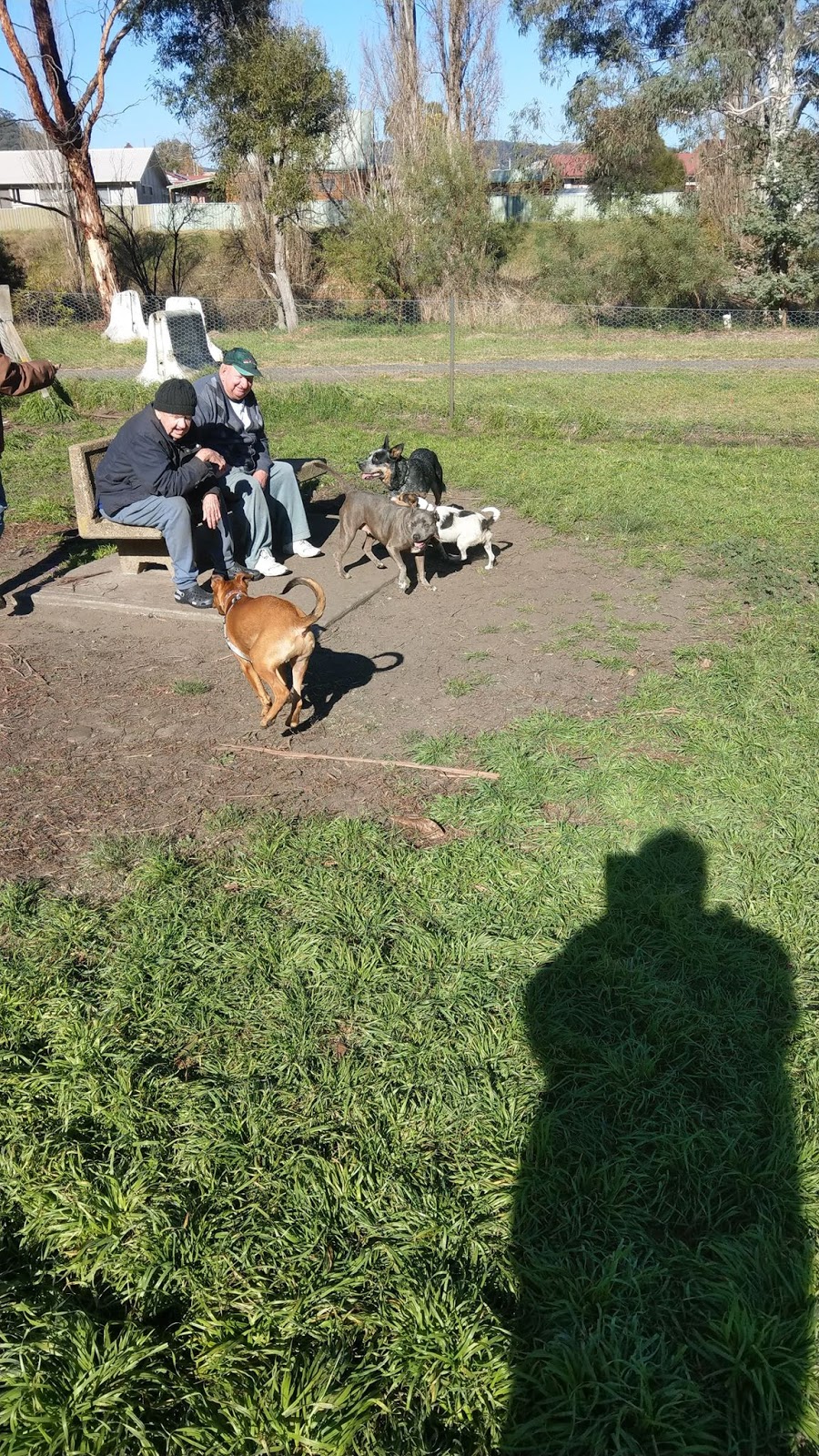 Lithgow Dog Park and Recreation Area | park | Montague St, Lithgow NSW 2790, Australia | 0263549999 OR +61 2 6354 9999