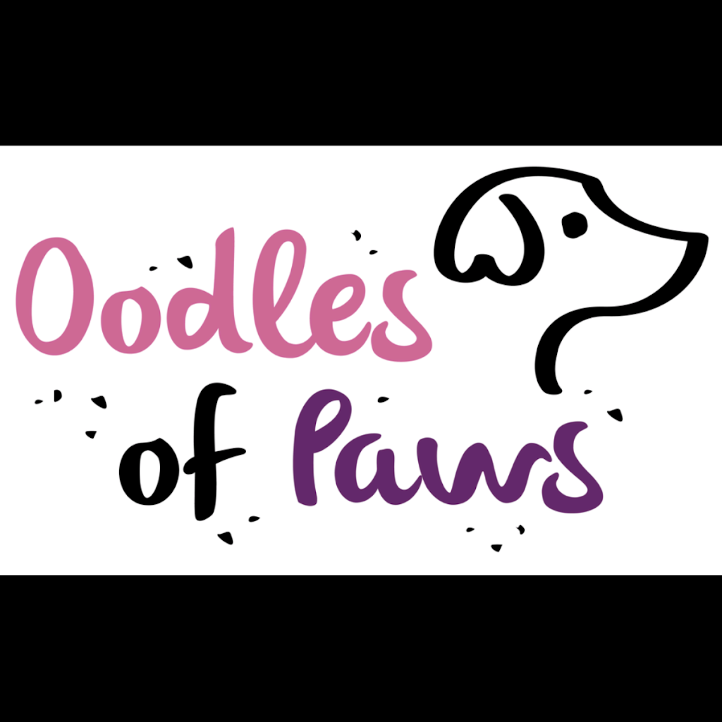 Oodles of Paws | Lota QLD 4179, Australia | Phone: 0457 535 580