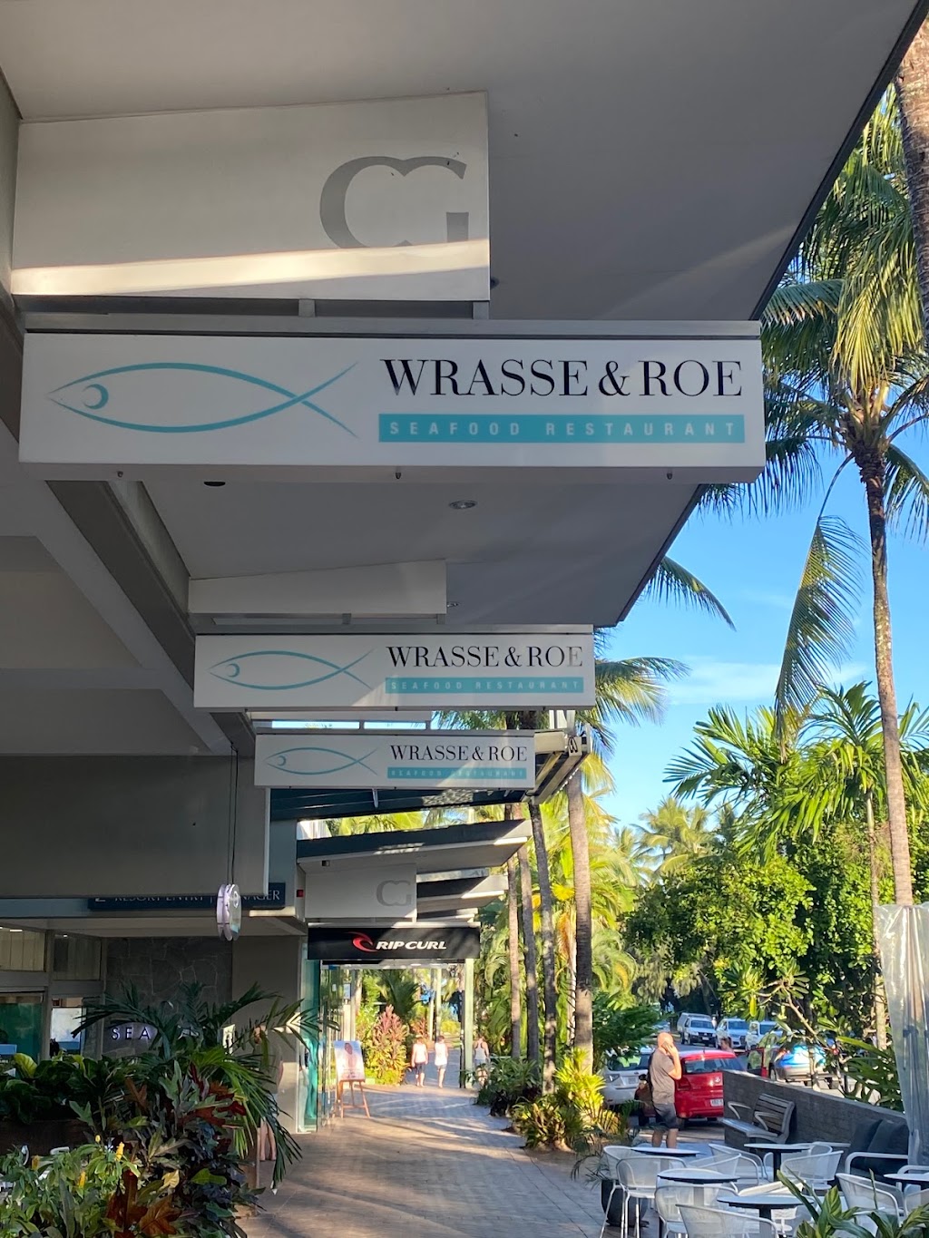 Wrasse & Roe Seafood Restaurant | restaurant | Coconut Grove Complex 11, 56-64 Macrossan St, Port Douglas QLD 4877, Australia | 0740995219 OR +61 7 4099 5219