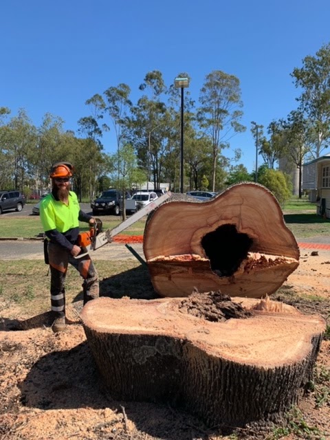 Boyne Island Tree Services | 1 Ronpen Cl, Tannum Sands QLD 4680, Australia | Phone: 0427 777 652