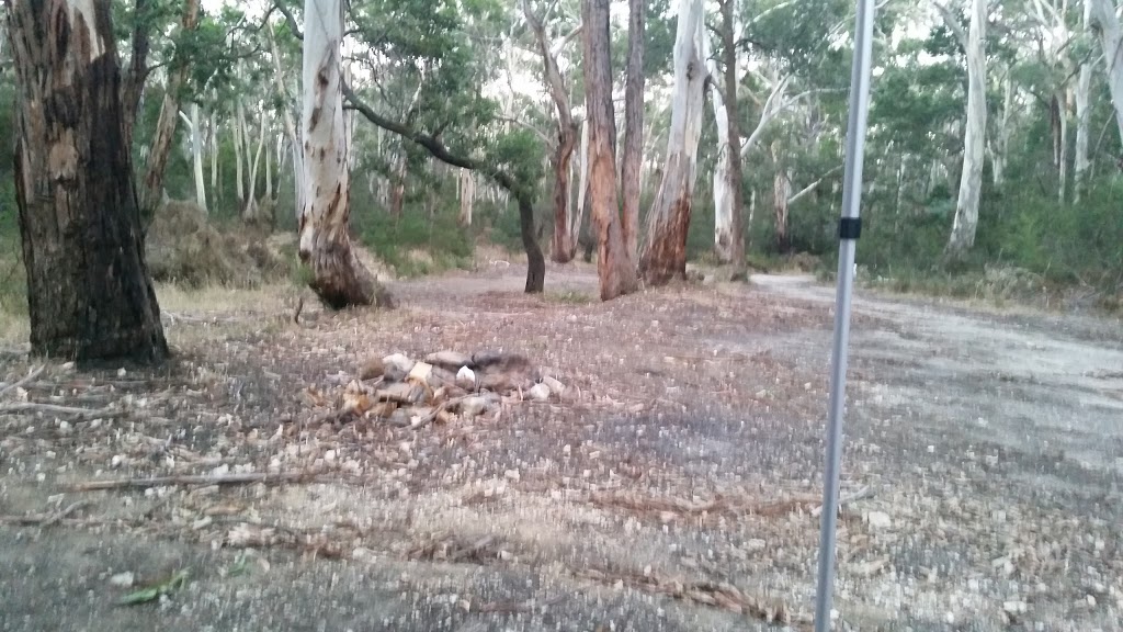 Slaty Creek Campground 1 | Petticoat Link Track, Cabbage Tree VIC 3889, Australia