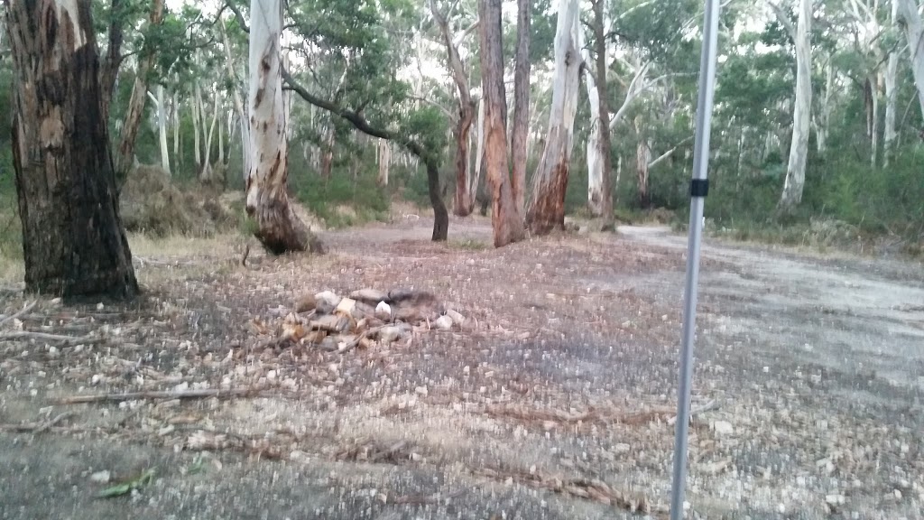 Slaty Creek Campground 1 | campground | Petticoat Link Track, Cabbage Tree VIC 3889, Australia