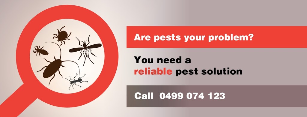 Reliable Pest Solutions Illawarra | home goods store | 7 Ramsay Pl, Bellambi NSW 2518, Australia | 0499074123 OR +61 499 074 123